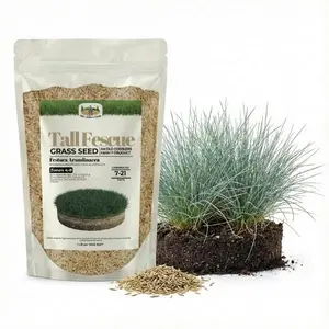 Old Cobblers Farm Wicked Tuff Turf Tall Fescue (Grasses) (5 lbs | 10 lbs | 15 lbs | 20 lbs)