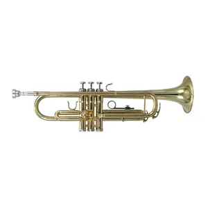 B.A.C. Apprentice Series Trumpet