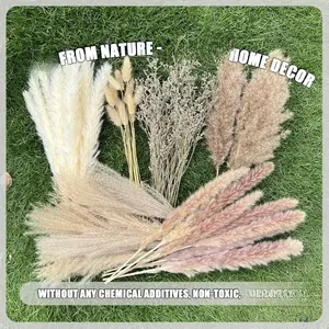 100Pcs Pampas Grass Boho Home Decor 17 inch Natural Dried Flowers-Pampas Grass Contains Bunny Tails White Pampas Brown Pampas.Boho Decor for Farmhouse Wedding Boho Wall Bathroom Office Kitchen…