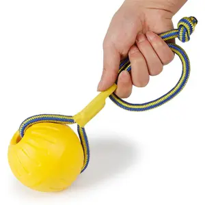 Durable Rubber Puppy Chewing Toy with Training Ball and Carrying Rope, Fun Dental Chew for Dogs, Single Piece Pet Dog Toy