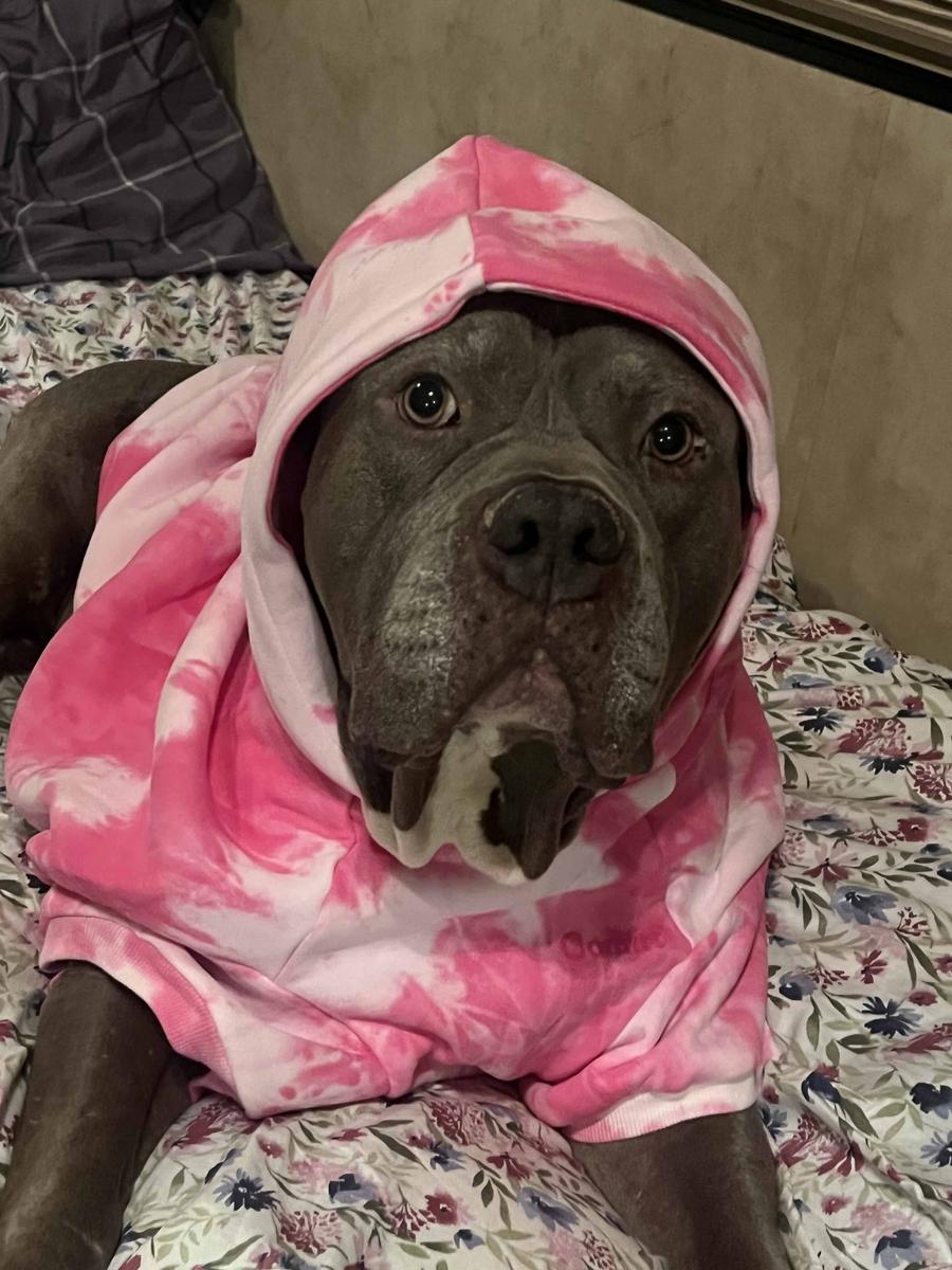 Item: Strawberry Swirl, 7X