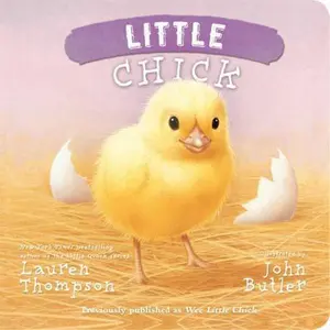 USED-Little Chick by Thompson, Lauren (Board book)