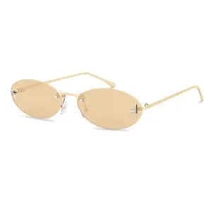 Vintage Oval Y2K Sunglasses for Women Men, 2025 Trendy Chic Narrow Gold Metal 90s Sun Glasses Small Sunnies