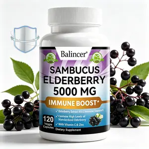 Balincer Sambucus Elderberry 5000mg Extract - with Vitamin C & Zinc for Year-Round Immune Support, 120 Veggie Capsules