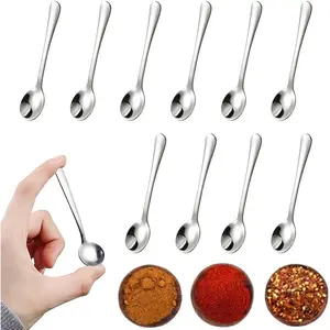 10 PCS Condiment Spoons Stainless Steel Mini Spoons 3 Inches Cute Small Spoon Silver Tiny Spoon for Powder Spices Jars Salt Sugar Pepper Desserts Honey