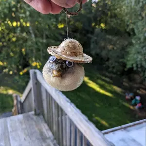 Taxidermy Pufferfish Gothic Decor