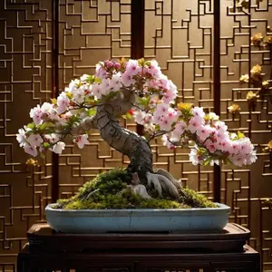 Sakura Seeds, Potted Seeds, Potted Tree Seed Packaging-Is An Excellent Gift For Plant Enthusiasts, Indoor And Outdoor, Garden Planting