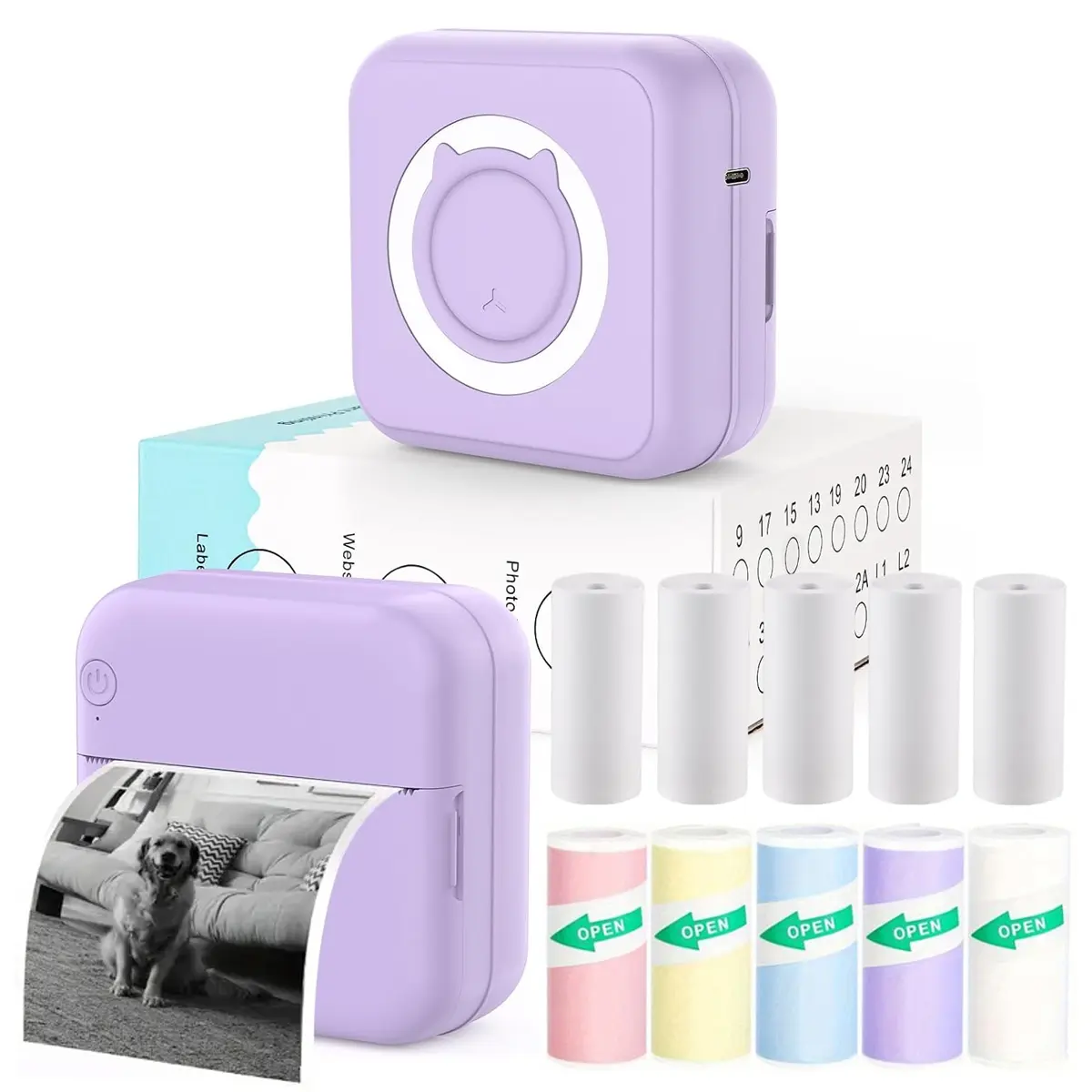 Mini Sticker Printer, Mini Label Printer Portable Inkless Thermal Printer, Free Cut Small Pocket Printer for DIY Scrapbook, Travel, Notes,Photos, Pictures, Label, Memo, Compatible with iOS&Android, Thermal Label Maker