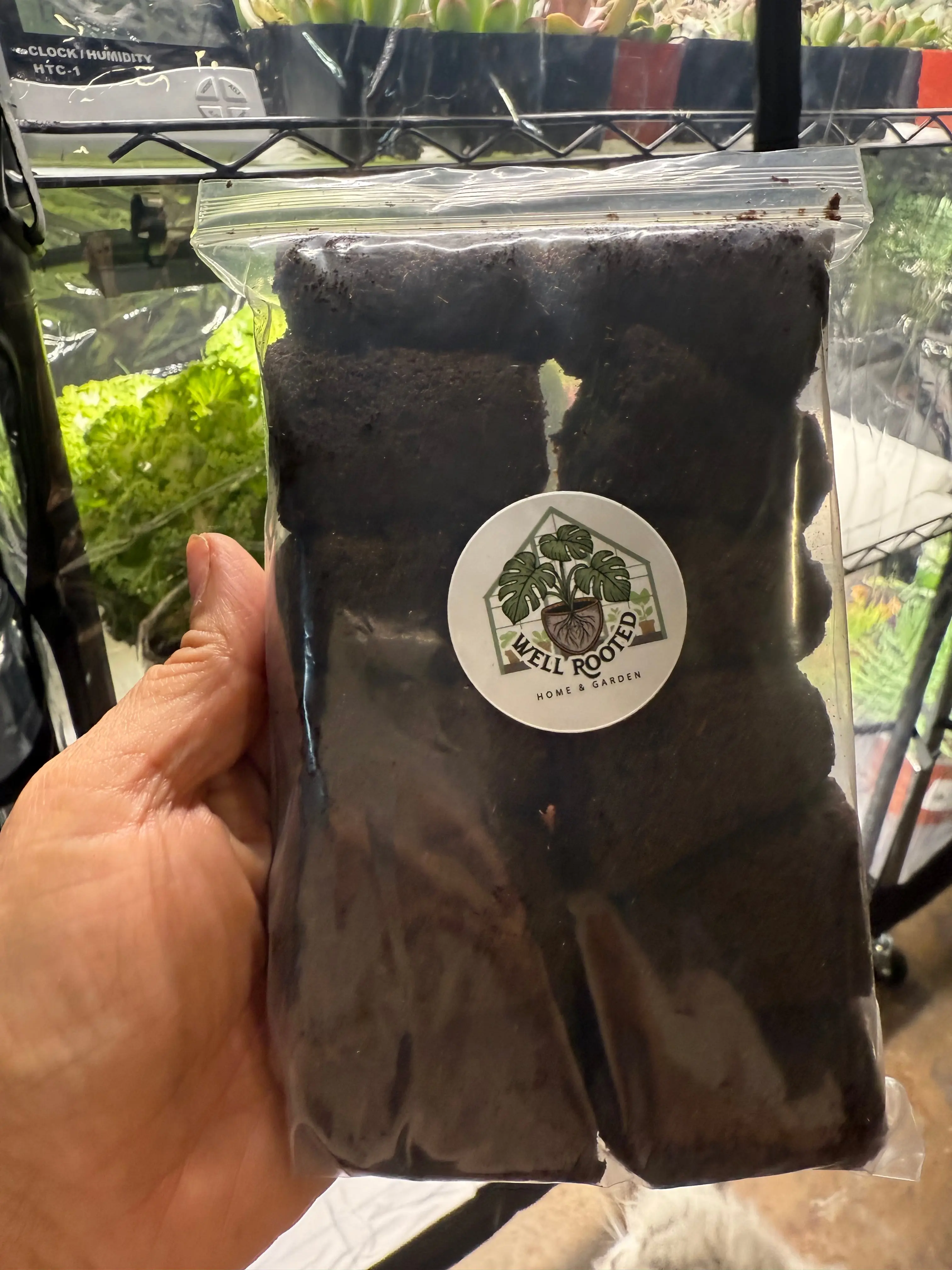 Root plugs