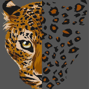 Wild Ember Co.