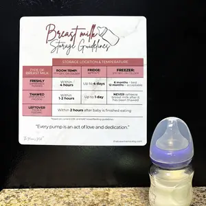 Breast Milk Storage Magnet | Breastmilk Storage Guide Fridge Magnet | Pumping & Breastfeeding Guidelines | Postpartum Essential for New Moms