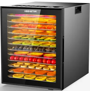 Food Dehydrator for Jerky, 12 Stainless Steel Trays, 10 Presets, 165℉ Temperature Control, 48H Timer, 850W Dryer Machine for Dog Treats, Herb, Veggies, Meat, Fruit