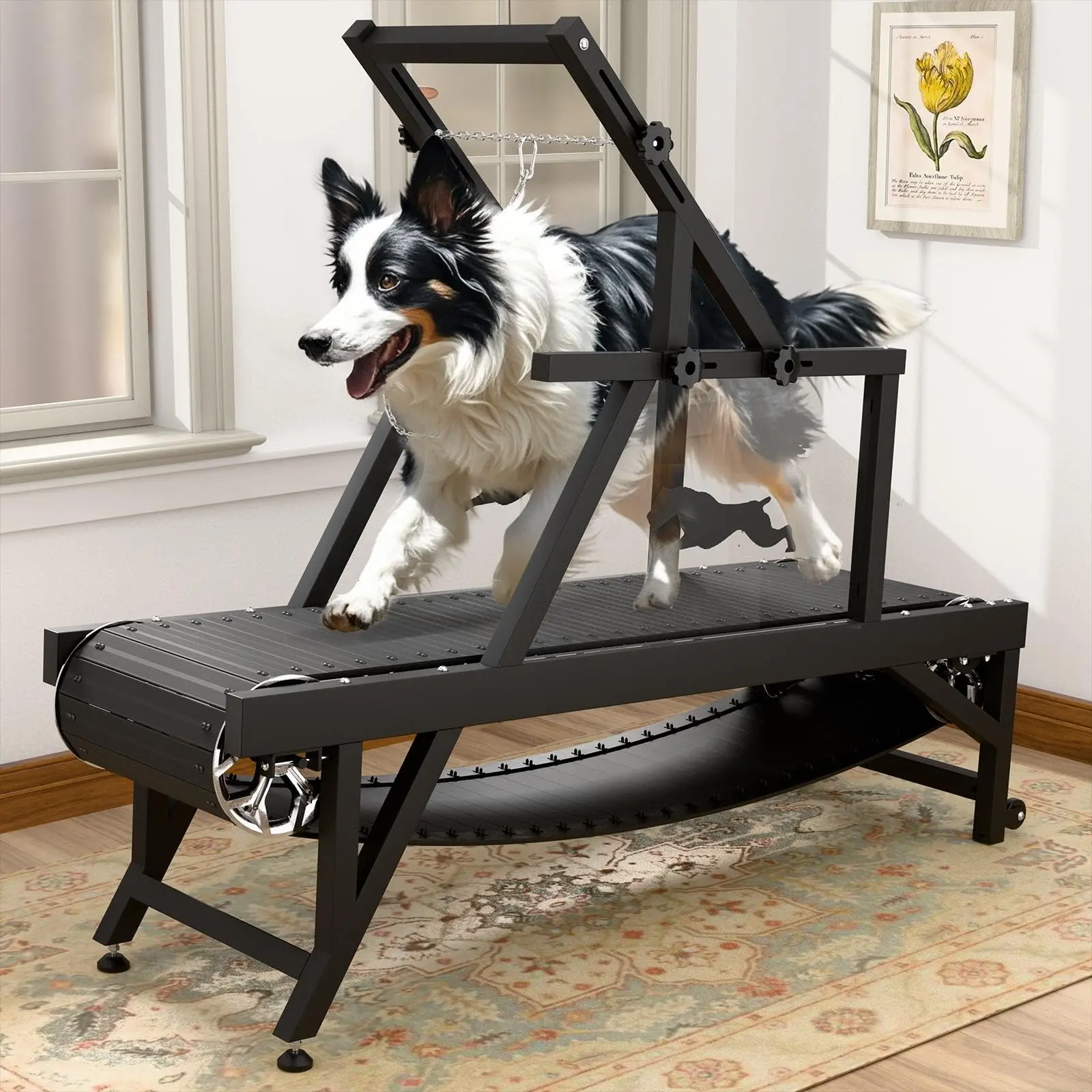 バドミントン訓練機　Duge TJ1000 Dog Treadmill, HINXIETIE Dog Slat Mill for Large/Medium Dogs with