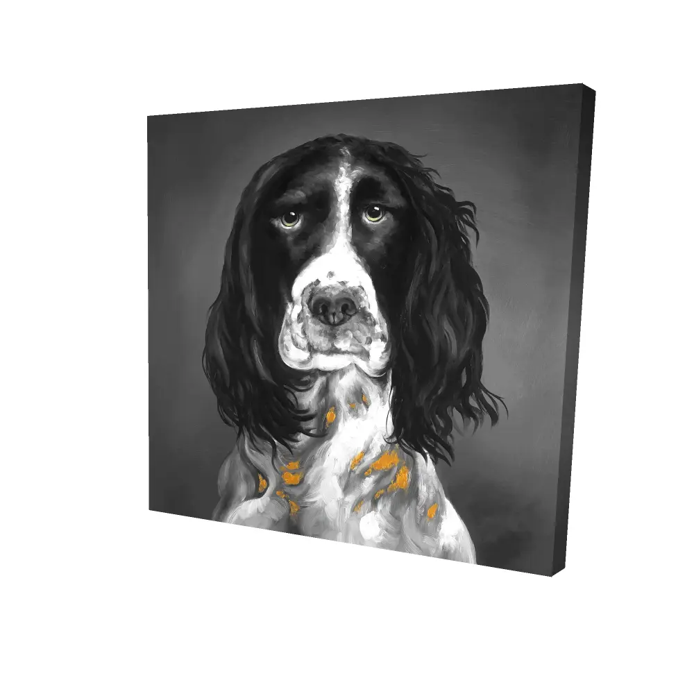 Begin Home Decor 2080-2424-AN308 24 x 24 in. Beautiful English Springer Spaniel Gray Canvas - Home Decor