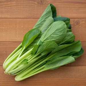 Haruna Asian Leafy Green Seeds 'Wol Dong Chun Chae' (Brassica rapa var. perviridis) Cold-hardy Asian leafy green with mild flavor. Great for stir-fries and soups