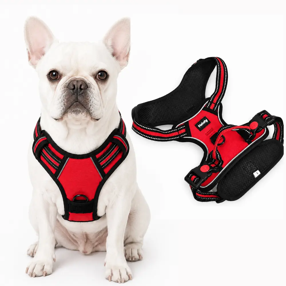 Helety Secure Control Dog Harness, Adjustable Padded Red Walking Harness with Reinforced Webbing, Quick-Release Buckles & Durable Leash Attachment