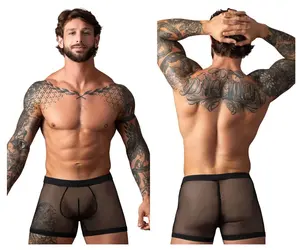 Men's Polyester-Spandex Mesh Fabric Boxers - Breathable, 2-Pouch Mens Underwear
