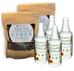 Bestest Deal Bundle- 4 bottles,2 bags