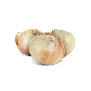 Pre-Order | Fresh NuMex Sweet Onions from Hatch, New Mexico – 10lb Box