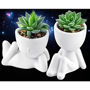Set of 2 Artificial Succulent Plants for Home Decor - Fake Plants for Office Desk, Bathroom & Indoor Spaces - Realistic Aesthetic Decor - Low Maintenance Greenery - Perfect for Room & Shelf Styling Decorative Fruit Ornaments Black