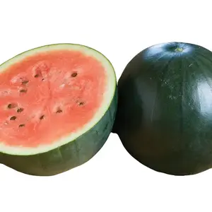 Sugar Baby Watermelon Seeds - Heirloom, Compact 8-10 Pound Fruits, 75-80 Days to Maturity, Full Sun, Ideal for Small Gardens