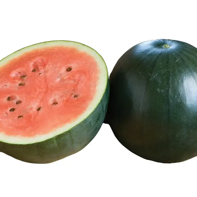 Sugar Baby Watermelon Seeds - Heirloom, Compact 8-10 Pound Fruits, 75-80 Days to Maturity, Full Sun, Ideal for Small Gardens