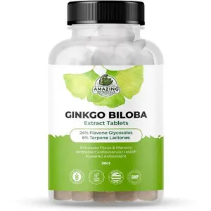 Amazing Botanicals Standardized Ginkgo Biloba Dietary Extract Tablets - 30 Count, Natural Healthcare Supplement, Cognitive Booster, Antioxidant for Memory & Brain Function Support