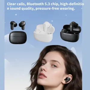 Wireless In-Ear Headphones, Lightweight Portable, Clear Sound, Rich Bass, Noise Cancelling, High Value, Comfortable Wear