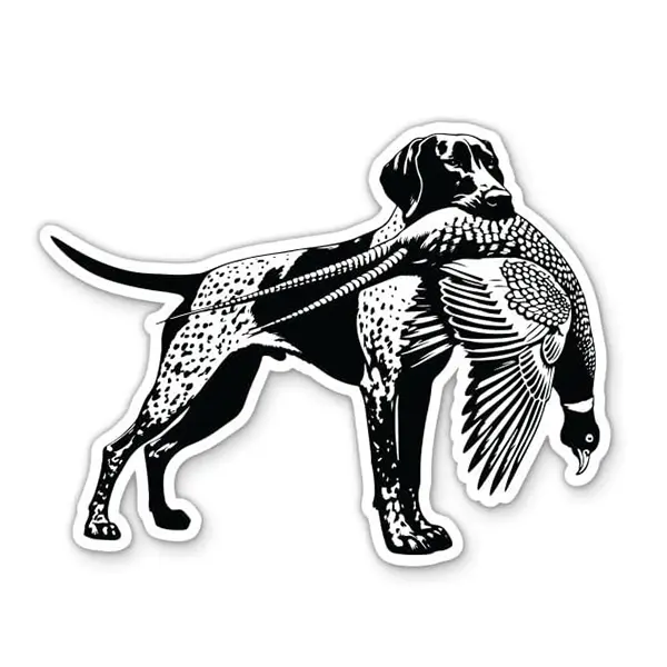 German Shorthaired Pointer Pheasant Hunting Decal, Large Waterproof Vinyl Sticker For Car, Laptop, Cooler, Or Wall, Bird Dog Hunting Decor For Outdoorsmen, Hunters, And Dog Lovers