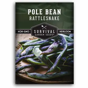Rattlesnake Bean Seeds - Preacher Beans