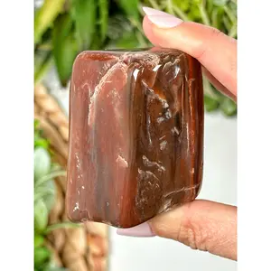 Petrified Wood Freeform - #14