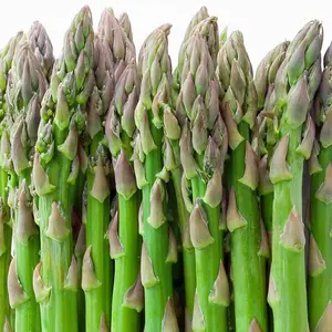Mary Washington Asparagus Seeds Non-GMO Heirloom Spring Planting 36-48 Inch Tall Spears 85-90% Germinatio by Mai's Familyn Rate