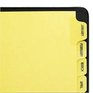 Avery Reinforced Laminated Tab Dividers 12-Tab Months Letter Buff 12 per Set