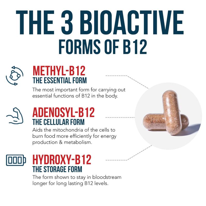 BioActive B12: Vitamin B12 Plus L-Methylfolate Healthcare Fitness Supplement Edible Dietary Bathroom