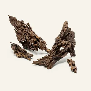 Dragon Wood