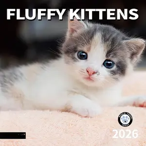 2026 Wall Calendar,Calendar 2026, July 2025 - December 2026, Wall Calendar  Kittens, 12" x 24" Opened,Full Page Months Thick & Sturdy Paper for   Calendar Organizing & Planning
