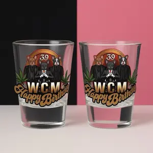 12 Custom Shot Glasses with  Case