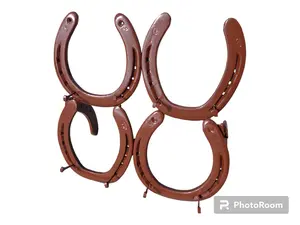 Four Horseshoe Buckle Display