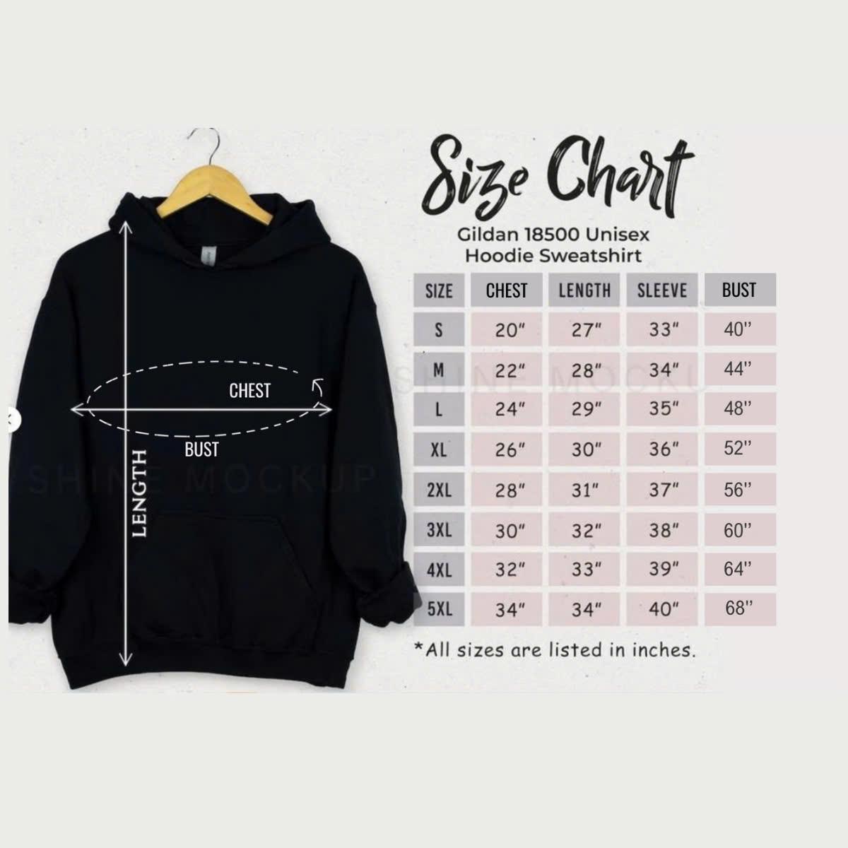 Vintage Ohio State Script Scene 2 side Hoodie Streetwear Menswear Top Sports Classic Tee Casual Sweater Hoodie Pullover Long Sleeve football fan Sweatshirt, Hoodie, Comfort Colors