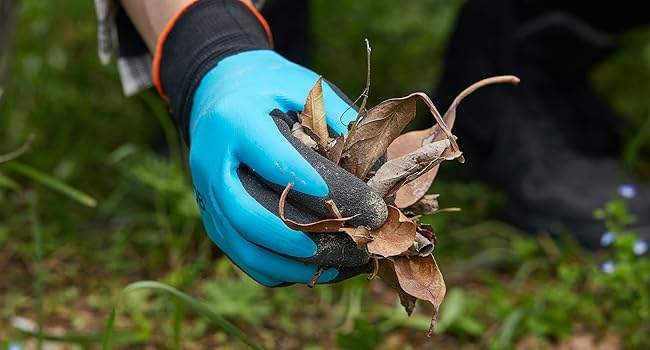 COOLJOB 2/6 Pairs Waterproof Gardening Work Gloves with grip, Double Rubber Coated (Blue)