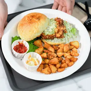 Karat 10" White Paper Plate- 200 pcs