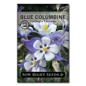 Blue Columbine Seeds