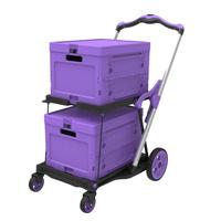 ALL PURPLE (TWO  Baskets)