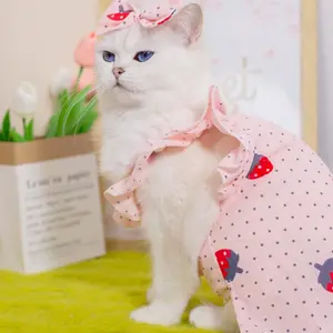 Sweet Spring Set, Polka Dot Top & Strawberry Skirt, Blue Eye Cat Style, Adorable Casual Wear for Women