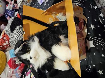 product review image from SyncretrixRedWitch 2