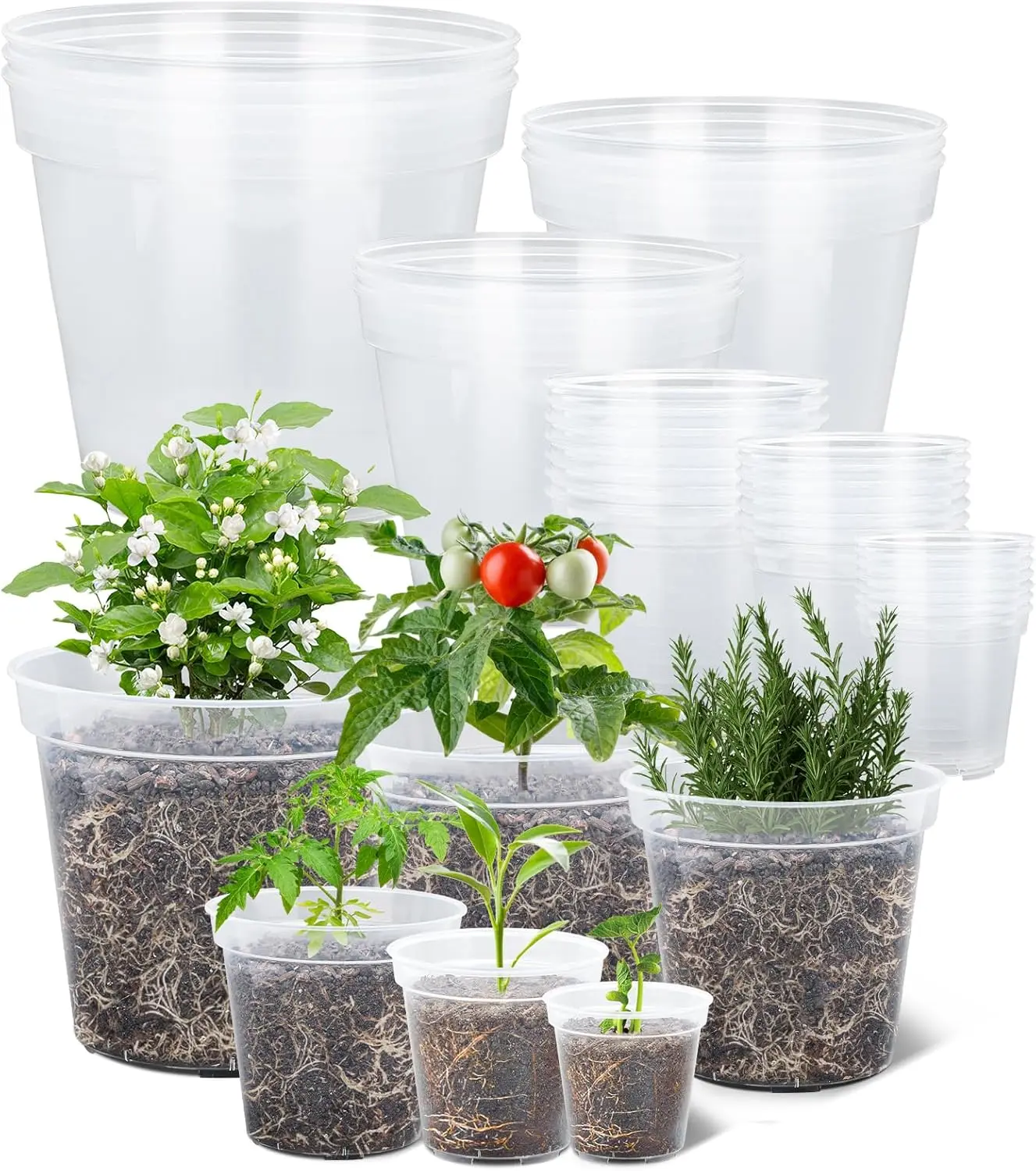 4/5/6/7/8/9 Inch Reinforced Clear  Pots, Transparent Variety Pack Plastic  Pots, 30 Packs Seed Starting Pot Flower  Container with Drainage Holes and 20  Labels