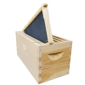 5-Frame Complete, Deep 9 5/8-inch Box with Frames and Foundation