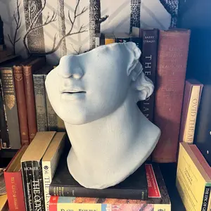 Colossal Head of a Youth Wall Decor - Fragmentary Hellenistic Greek Statue Library Decor Figure - 3D Printed Bookshelf History Decor