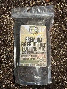 Fig Fruit Tree Premium Potting Mix