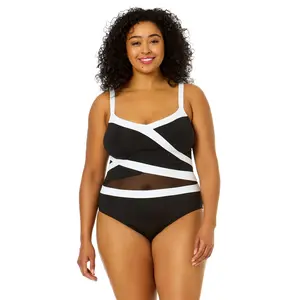 Women's Plus Size Mesh Around Mesh Insert One Piece Swimsuit
